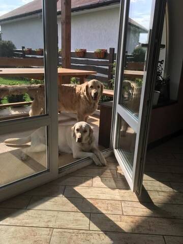 Фото номера Дом для отпуска Гостевой дом Family Guesthouse г. Коробчицы 86