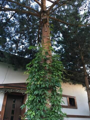 Фото номера Дом для отпуска Гостевой дом Family Guesthouse г. Коробчицы 88